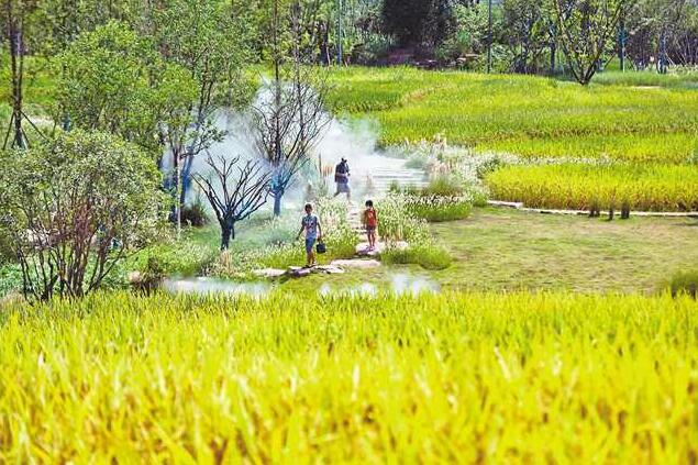 试开放首日，市民点赞生态修复